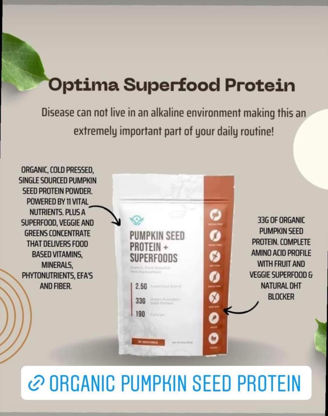 Pumpkin Seed Protein